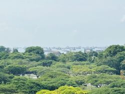 Seaside Residences (D15), Apartment #580240761